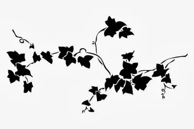 InterGRAF ksero od 10 groszy